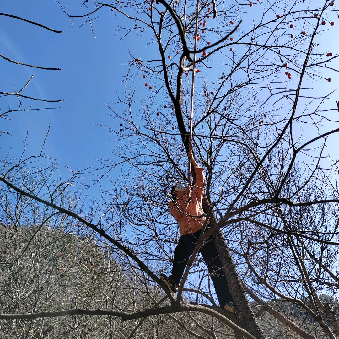 住在石圪节的双水村