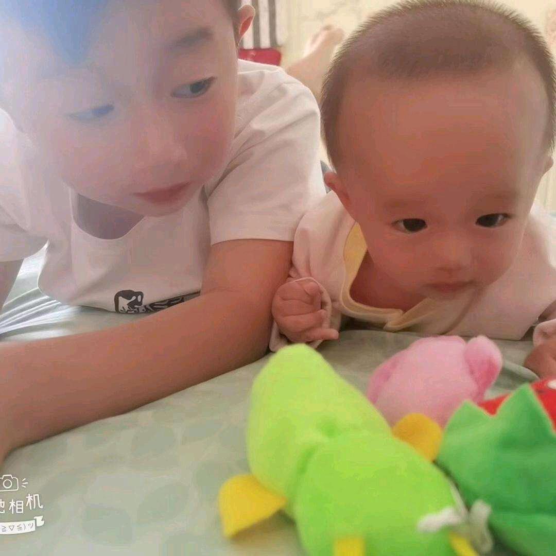 云南斗南基地鲜花零售批发.父之教诲.铭记