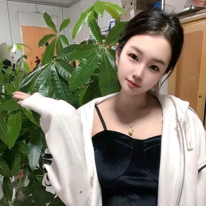 鹿🦌安