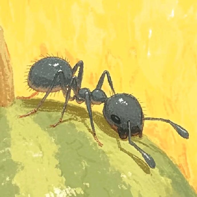 鲸鱼🐳🐳🐳🐳