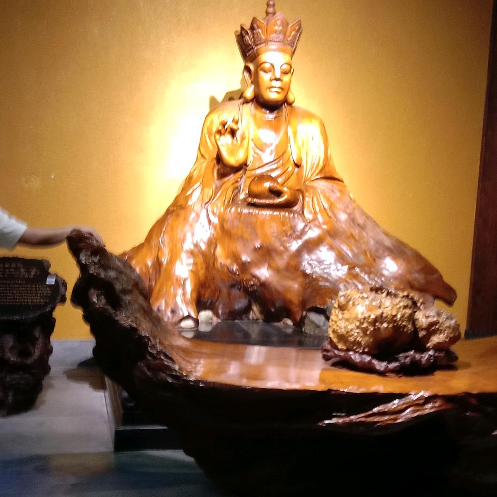 橙儿大哥小鲜肉