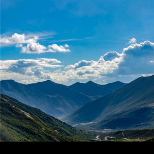 忠诚陪伴到永远