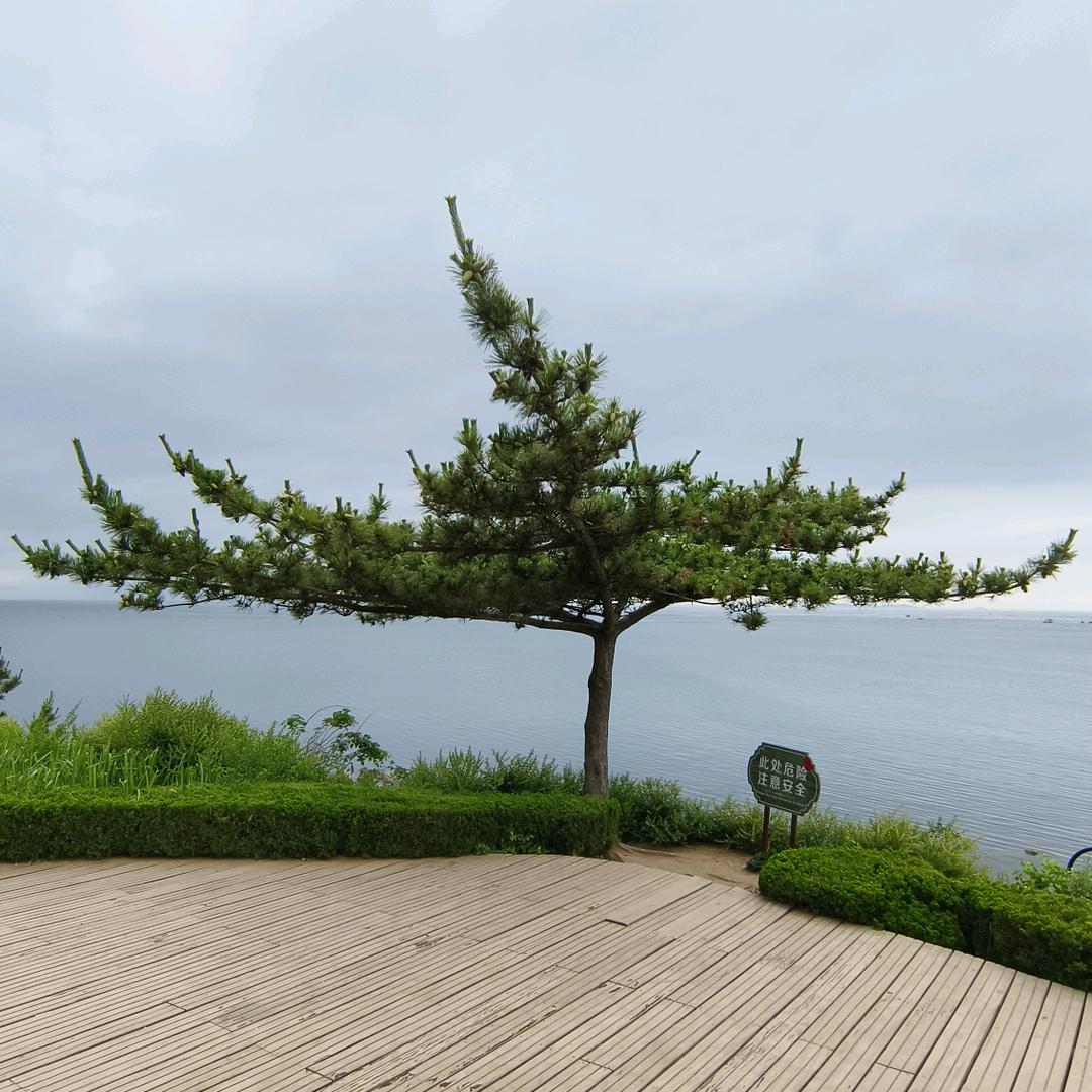 听风观雨