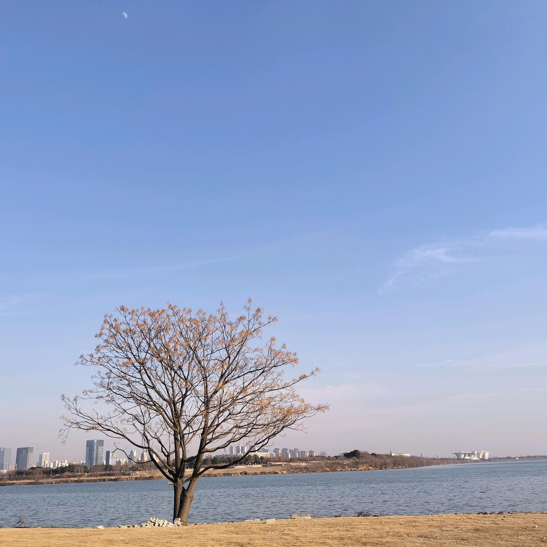 @小張