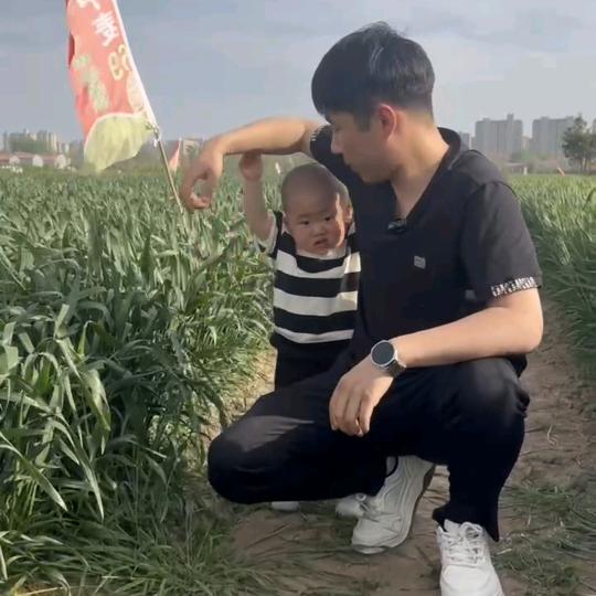河南豫农种业