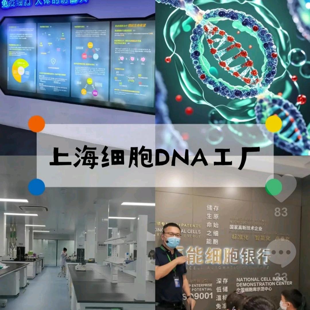 政采云小周
