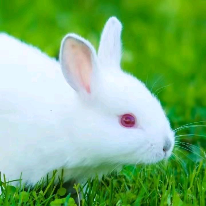 想你爱你每一天