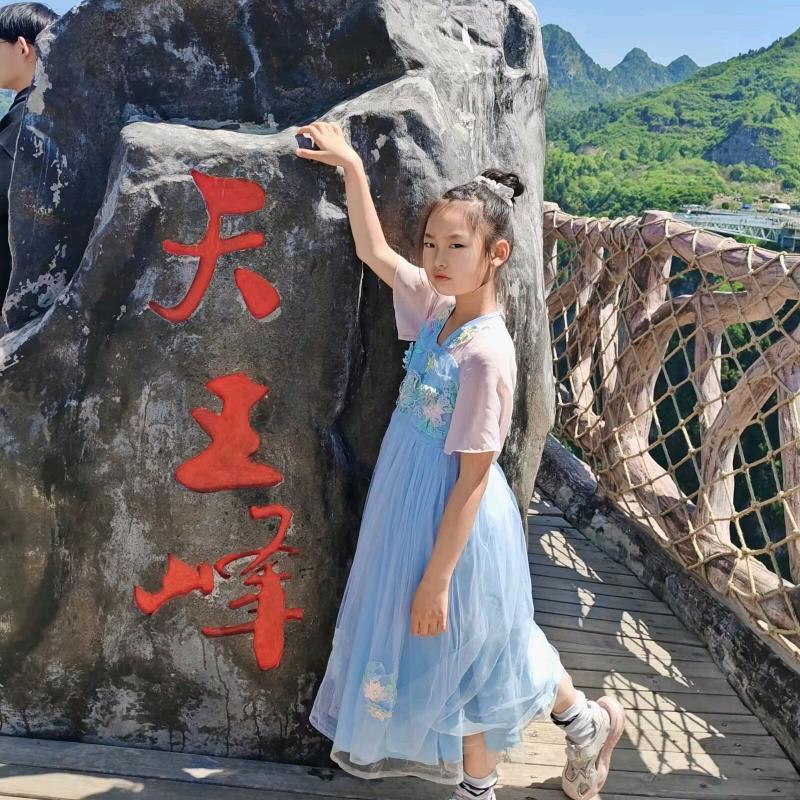 烟缕紫弦任清风