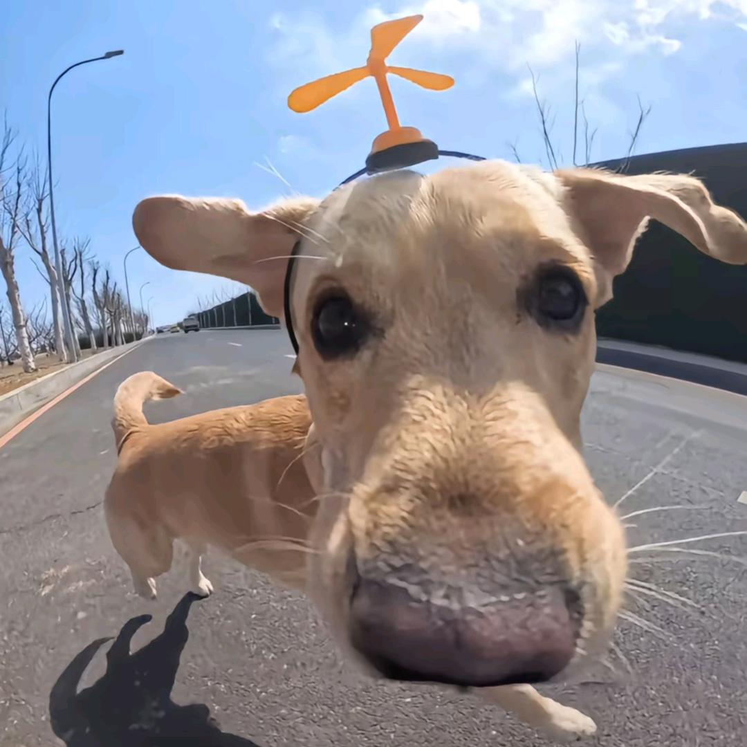 不会遇见第二个你