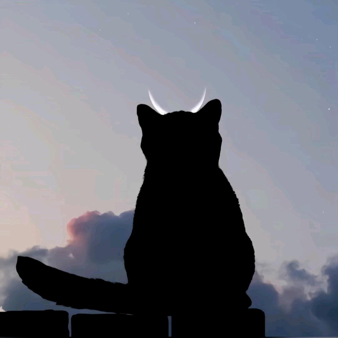 岂与
