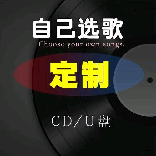 音乐优盘定制（自己选歌）