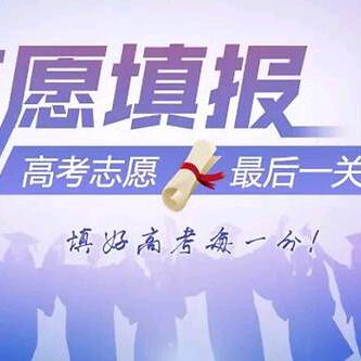 志愿填报李老师