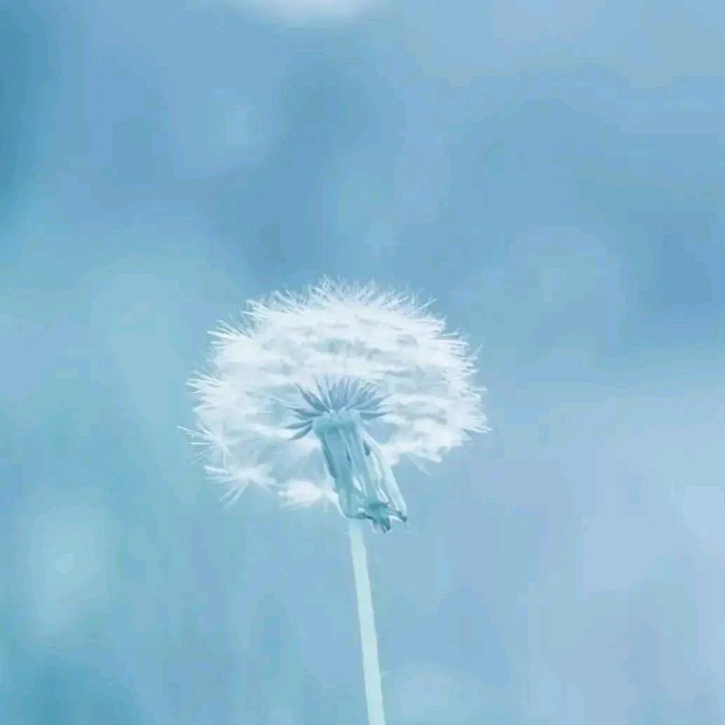 木兰心