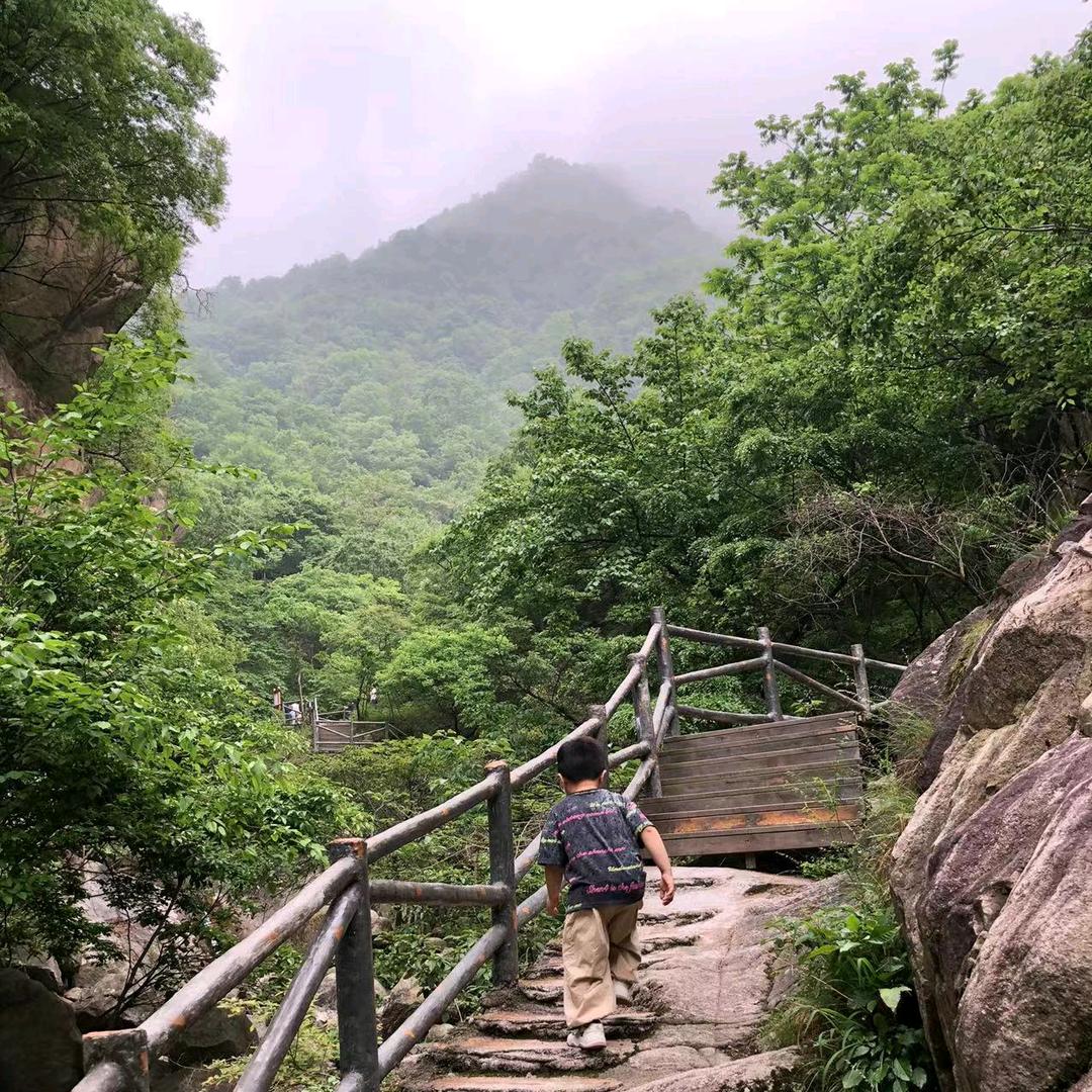 清风