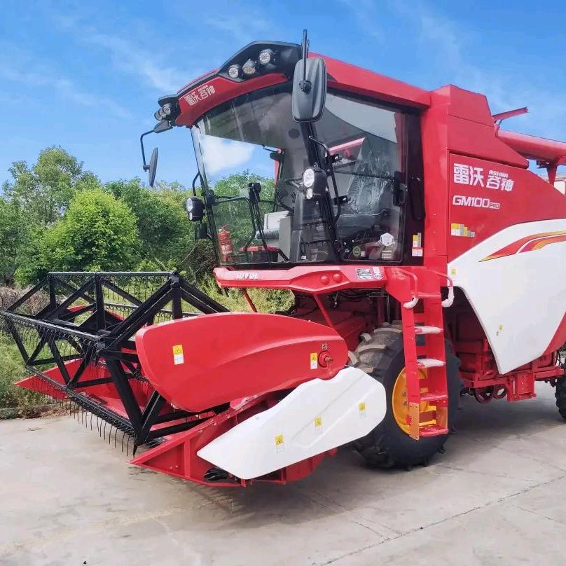 大风吹到梧桐树