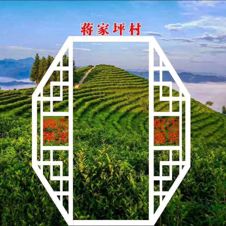 蒋家坪阿杰