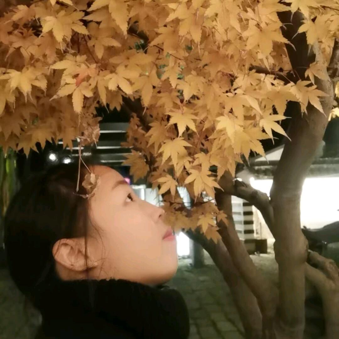 晚风橙
