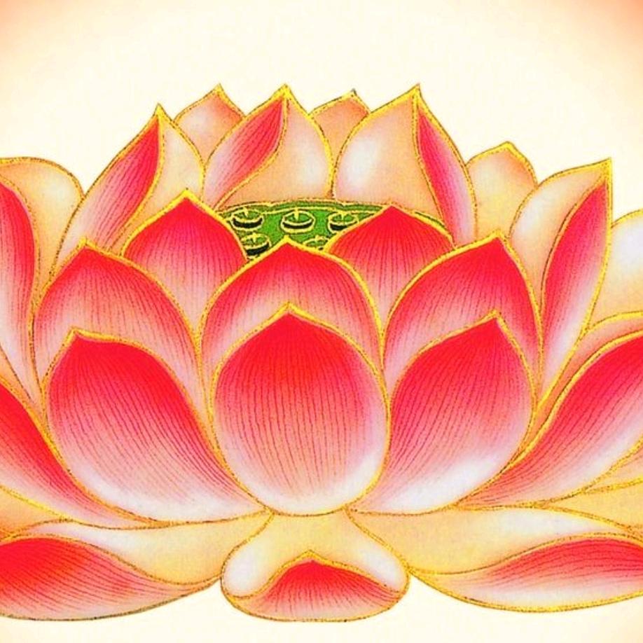 一叶菩提