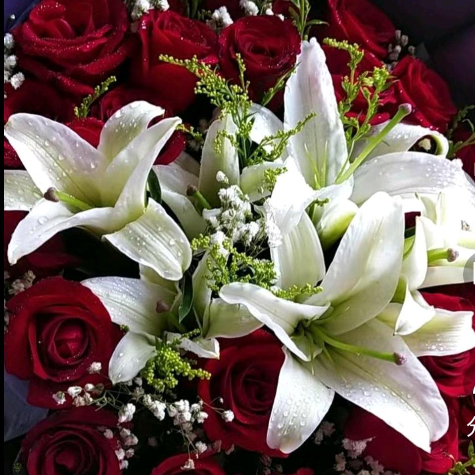 🌺知足常乐🌺爱健身的玫瑰🌹🌹