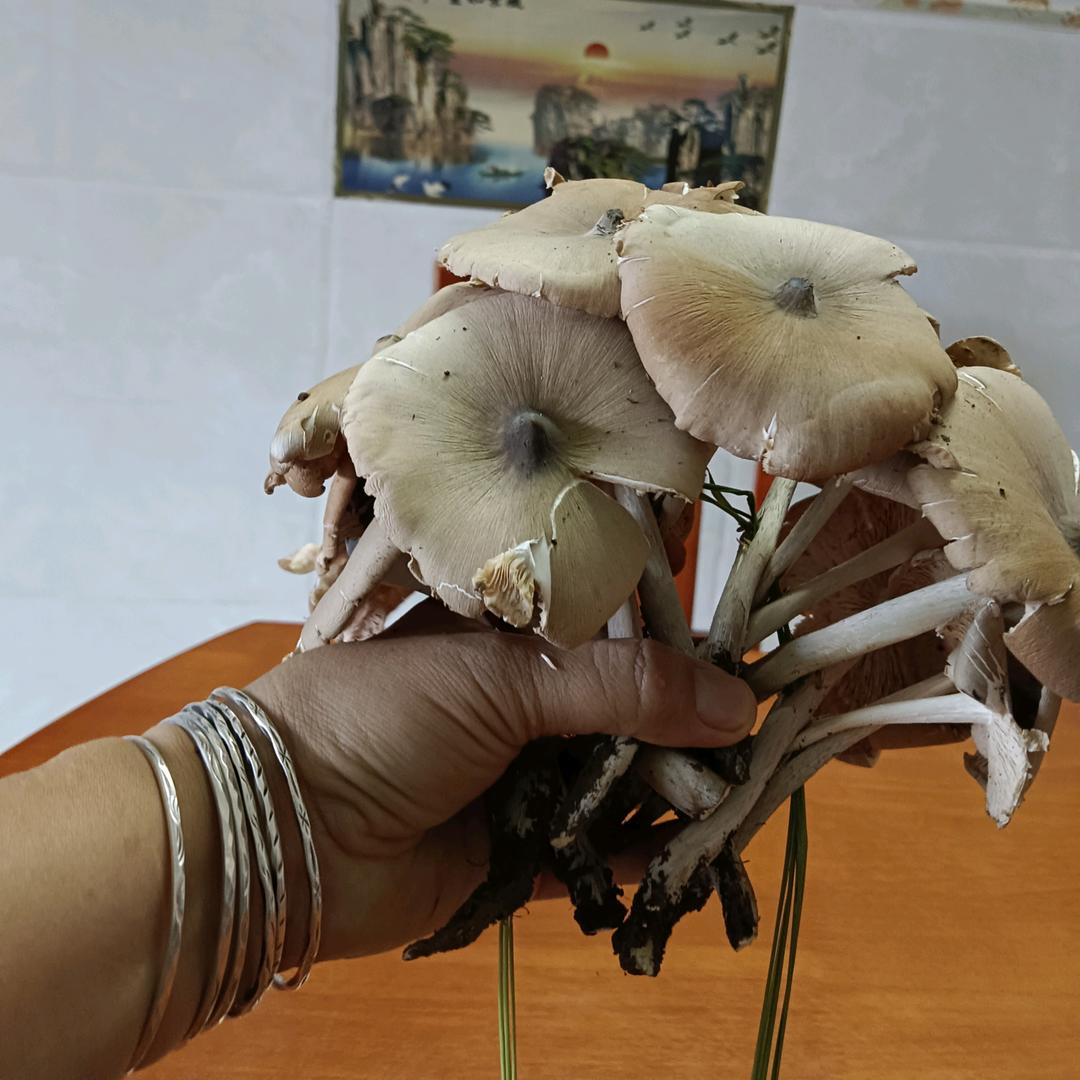 健康才是福