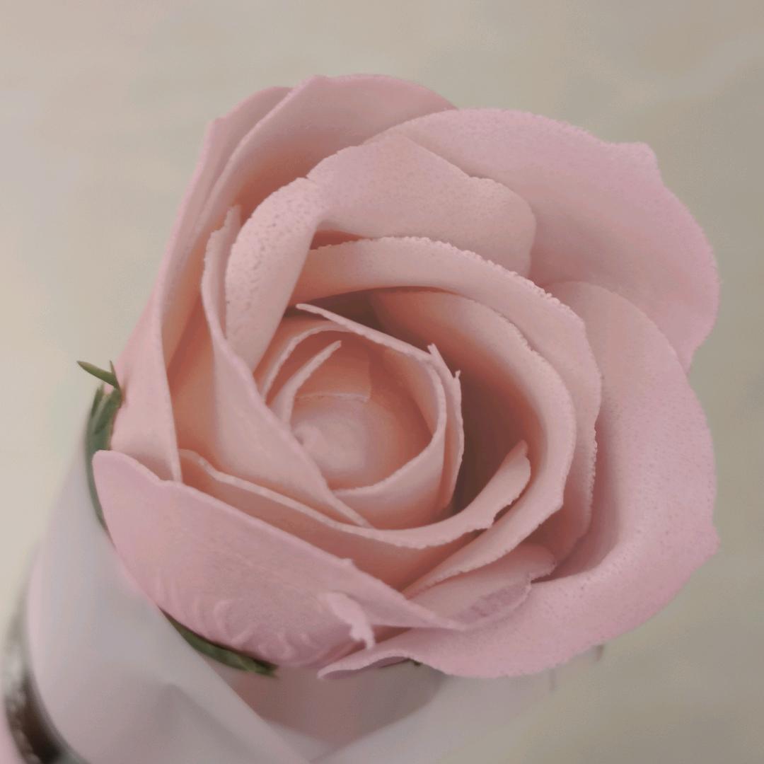 玫瑰精灵