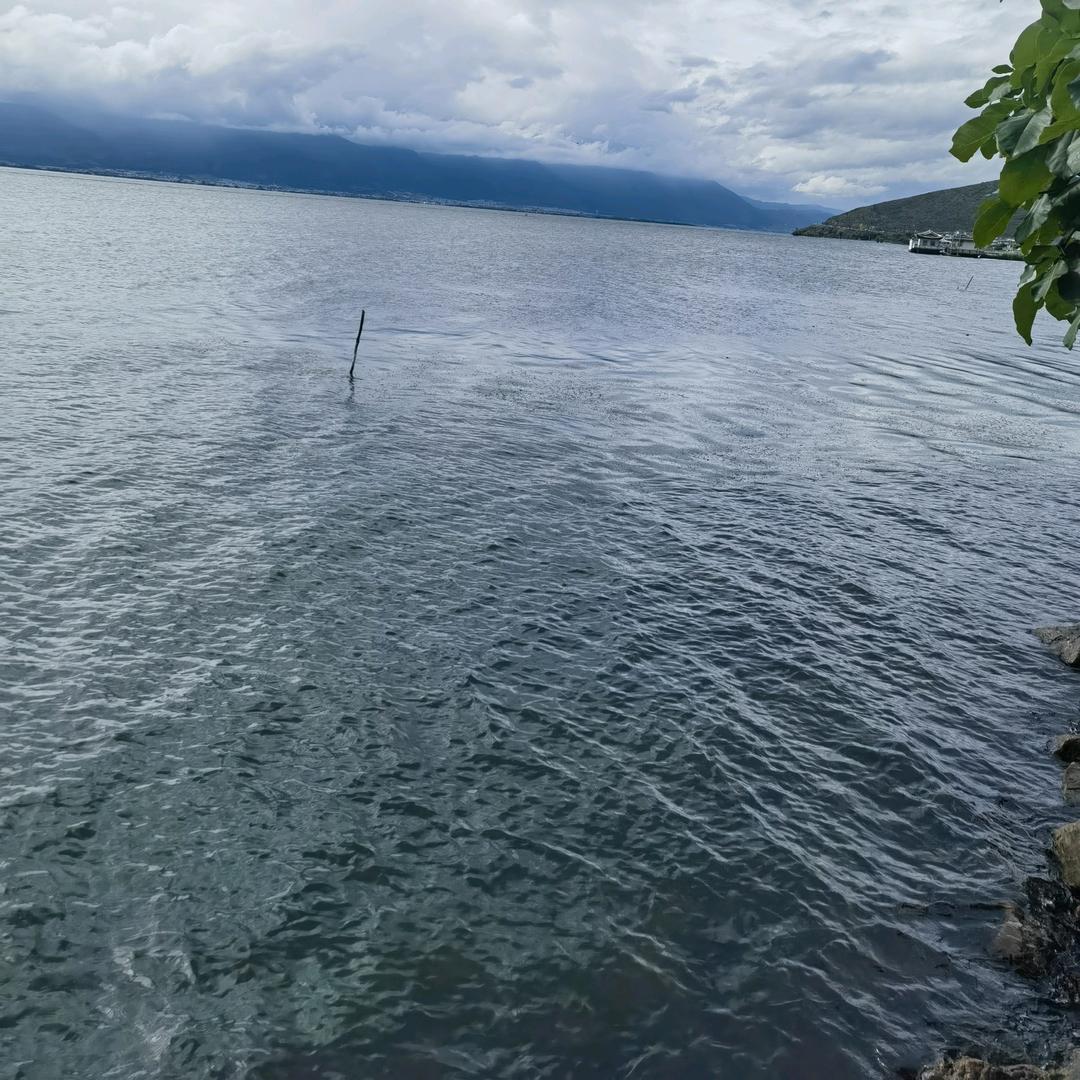 江湖河海余