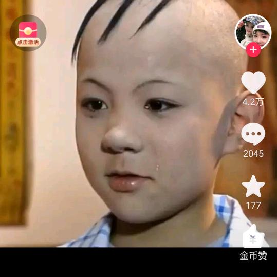 25833713230