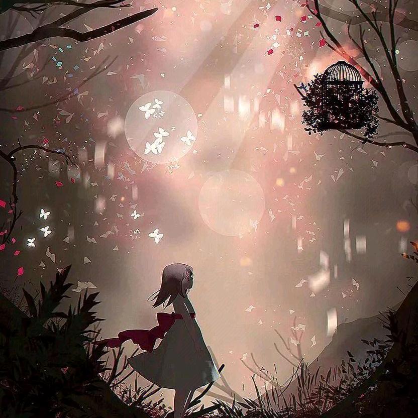 潍坊辰熙直播间搭建（短视频）