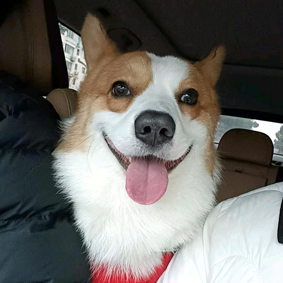 风铃