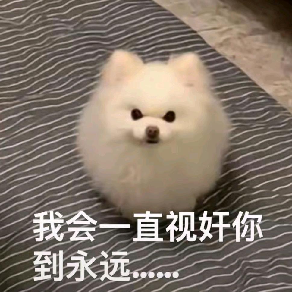 番茄橙肚煲