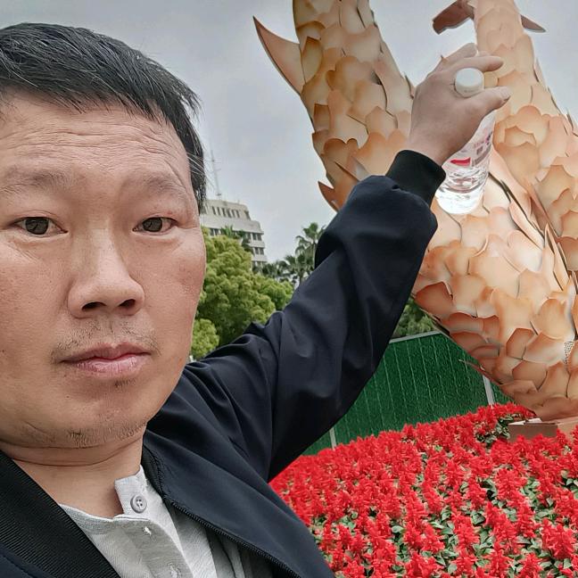 何兰