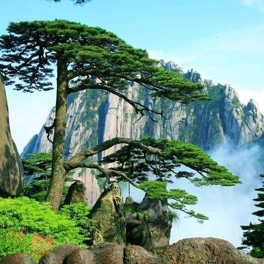 达州资金业务-梁超
