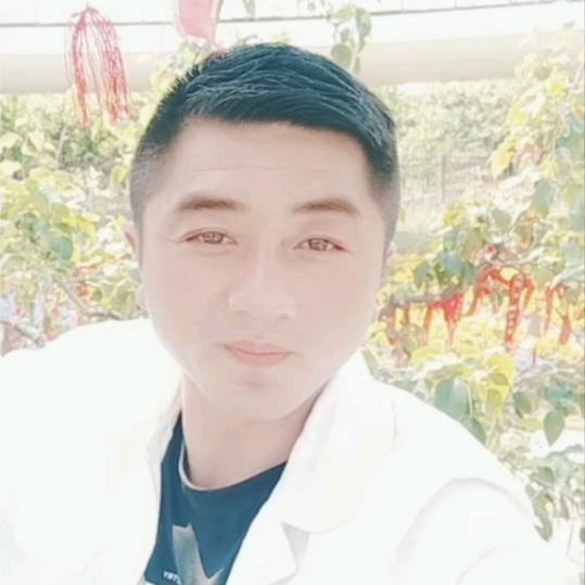 一心一意为你好