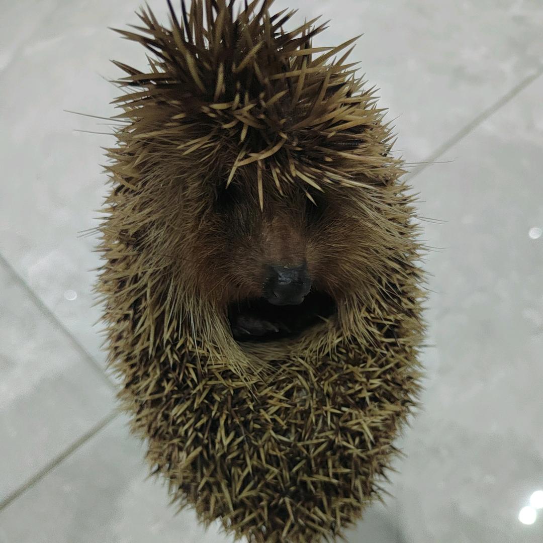 小老头￥