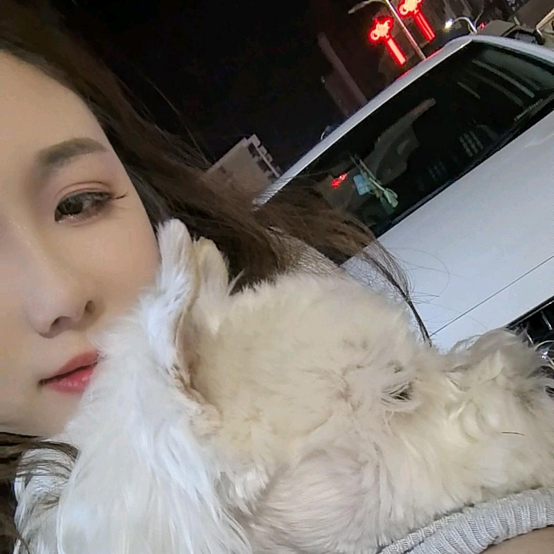 晓晓在努力