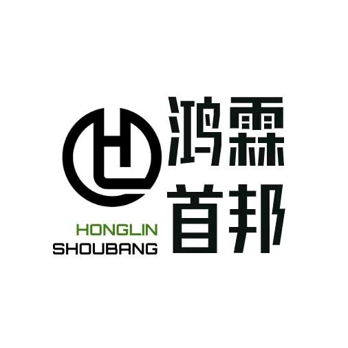 鸿霖人力（帅老师）