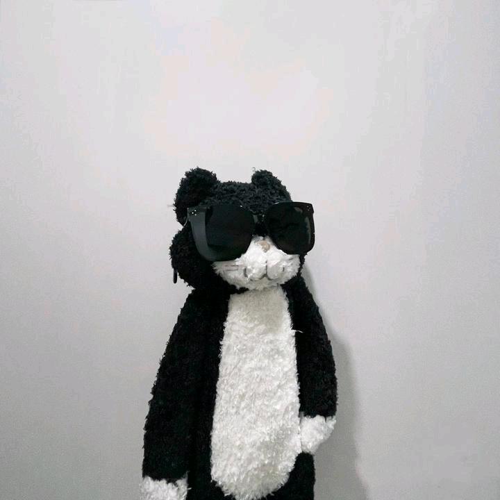 小猪小猪呼噜噜