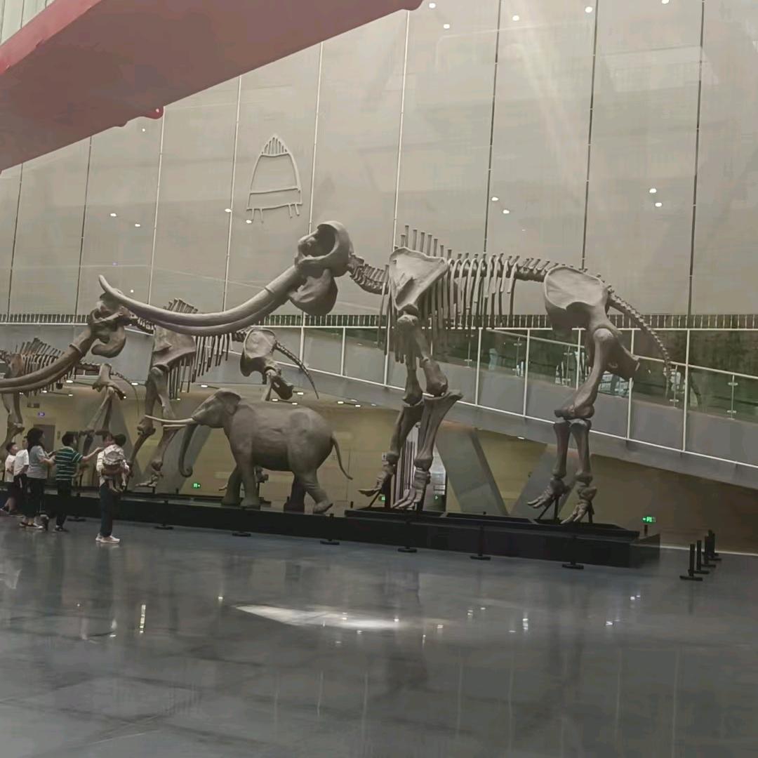 大乎的17718238555