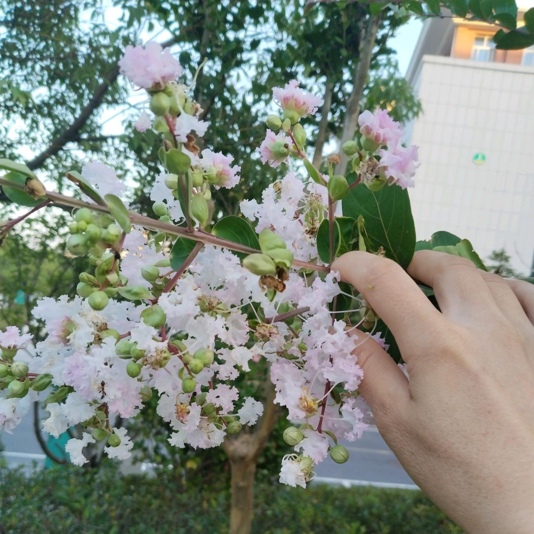 @不忘初心❤️