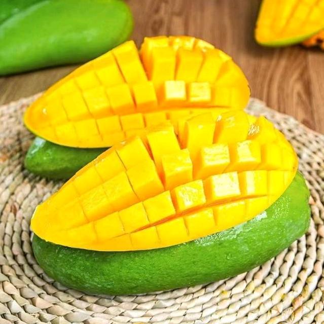 夏日芒芒🥭🥭🥭🥭