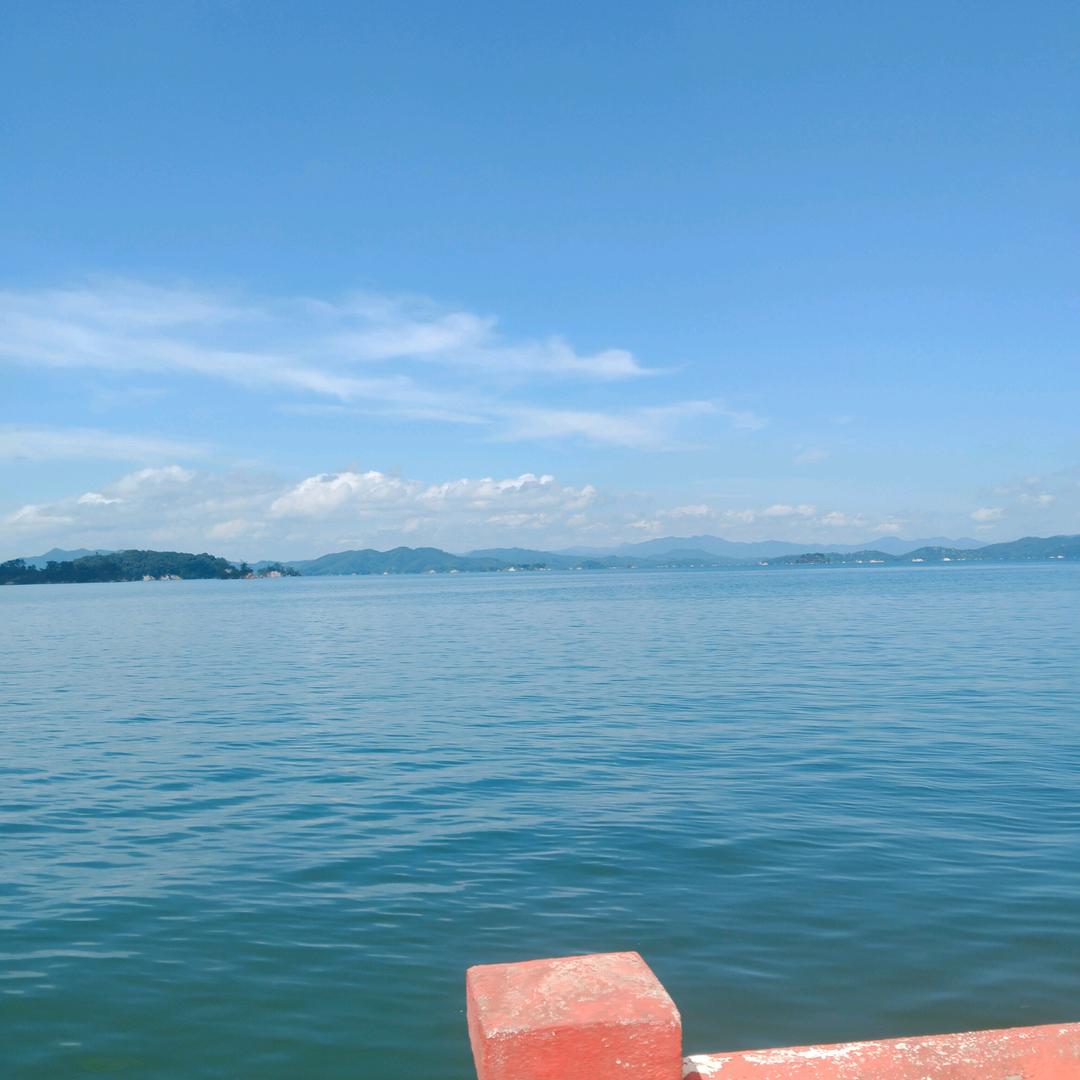 万水千山都是情