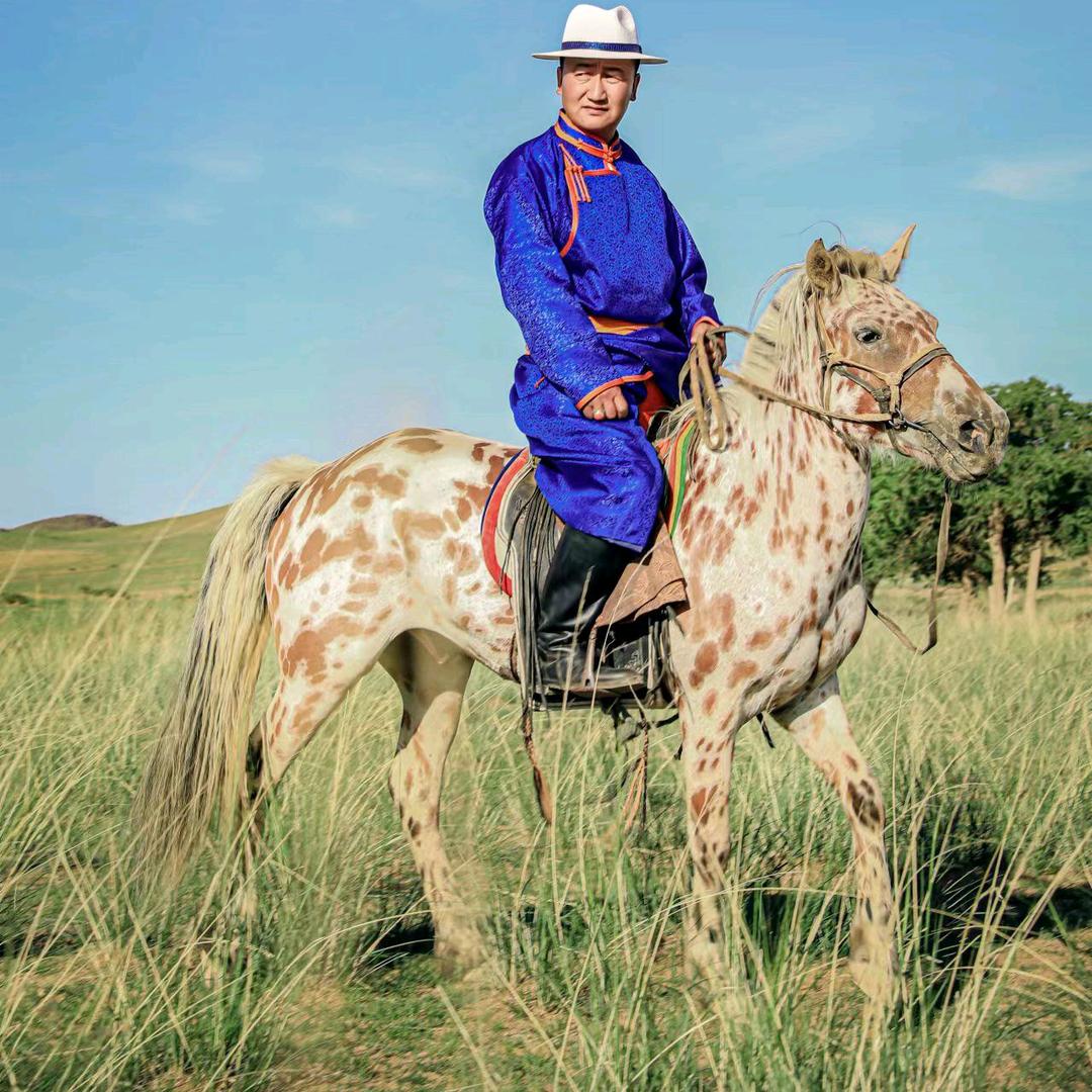 放羊弟弟  布和朝鲁