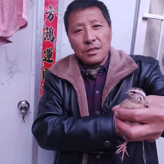 任显顺的朋友一生平安