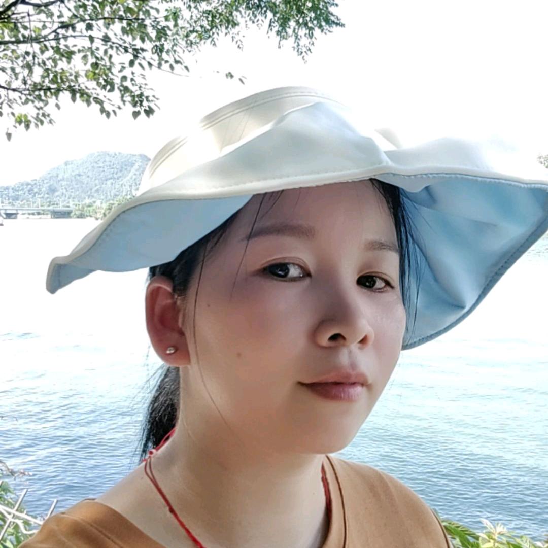 飞燕游龙