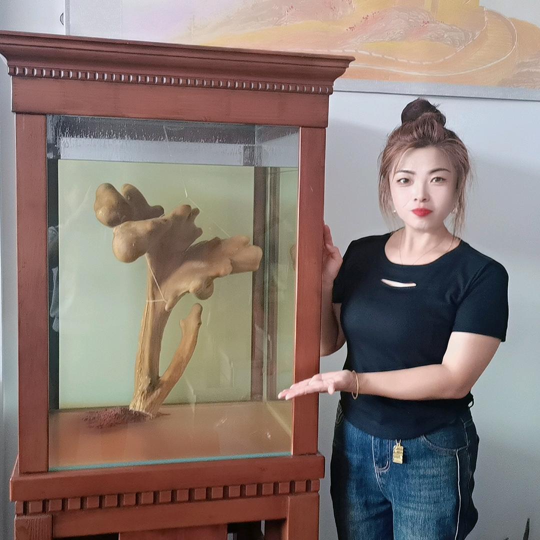 🦒锦源鹿业