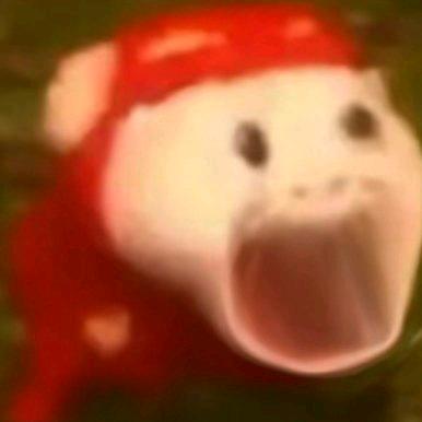 标哥哥