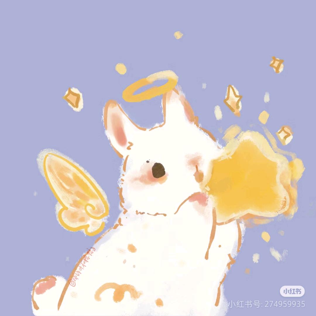 卖女孩的小火柴🌻