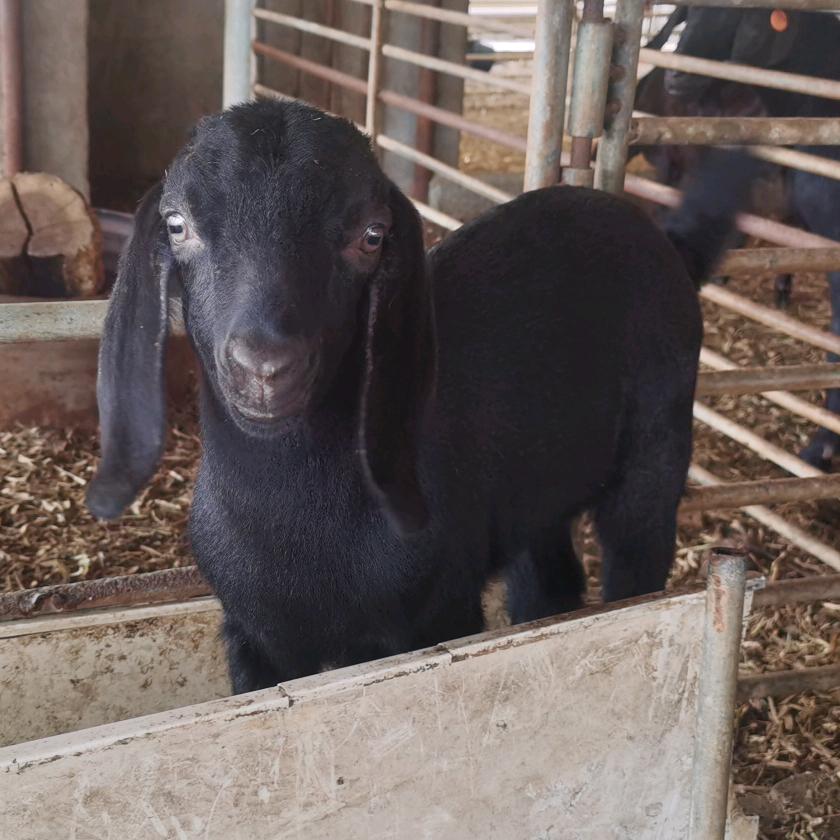 中科双龙农品坊