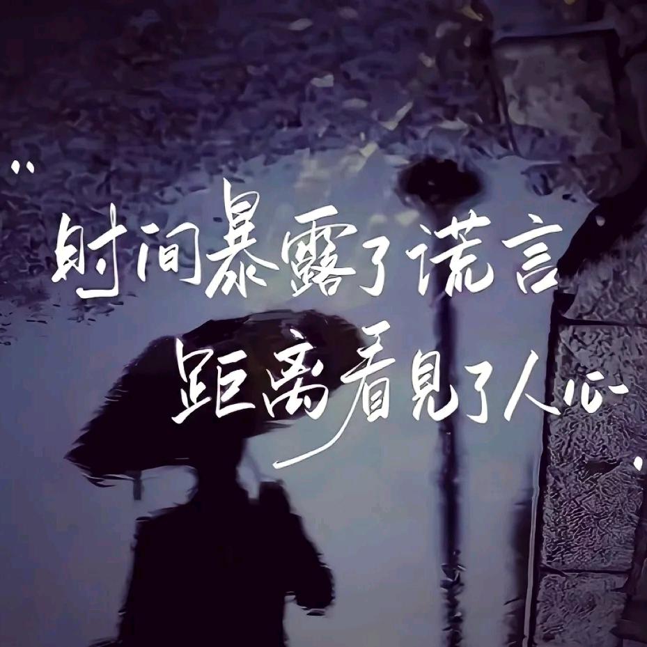 淺枫