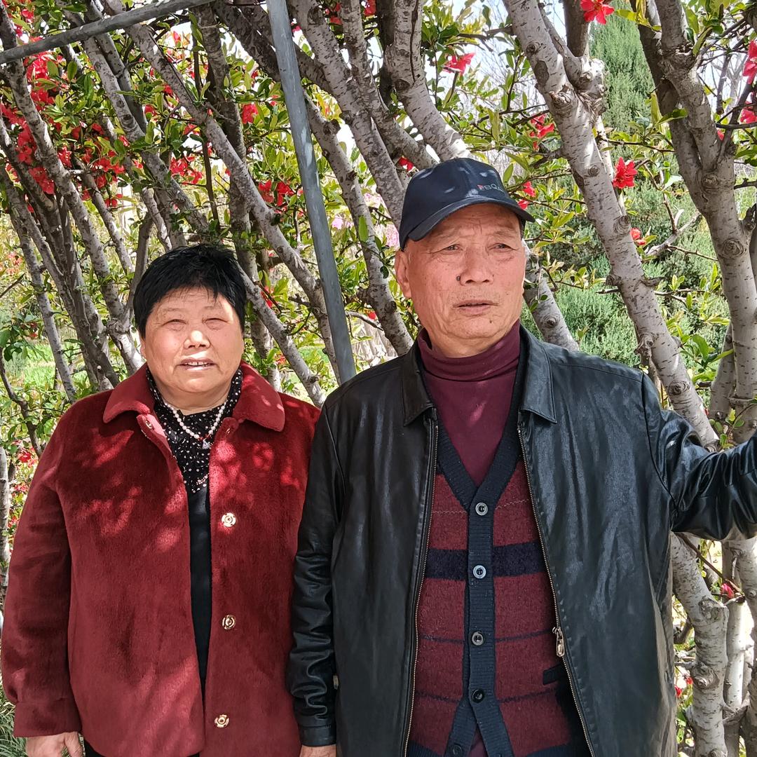 徐秋菊